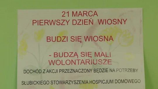 BUDZI SIĘ WIOSNA- BUDZĄ SIĘ MALI WOLONTARIUSZE