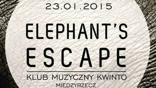 Elephant’s Escape w Międzyrzeczu