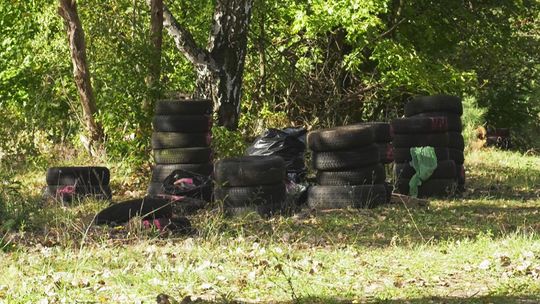 Forest Junk 2024 - pożyteczna akcja aktywnych ludzi