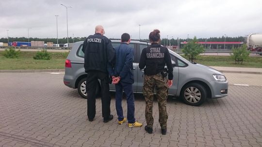 KRADZIONY SHARAN WRÓCI DO WŁAŚCICIELA
