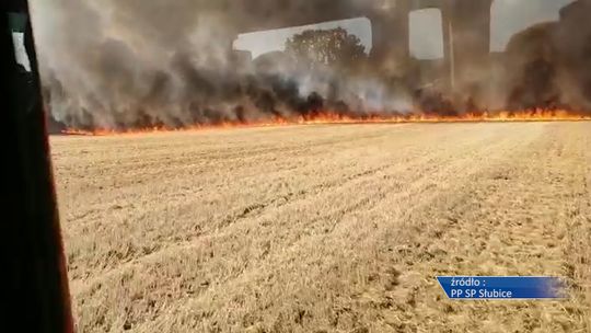 Oficer Prasowy KP PSP w Słubicach o zwiększonym z powodu upałów zagrożeniu pożarów lasów i pól