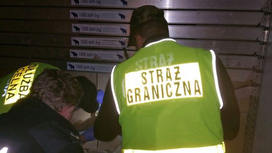 Pół miliona papierosów ukryte w chłodni 