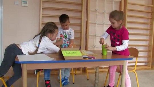 PTAKI, PTASZKI I PTASIE IGRASZKI W PINOKIO