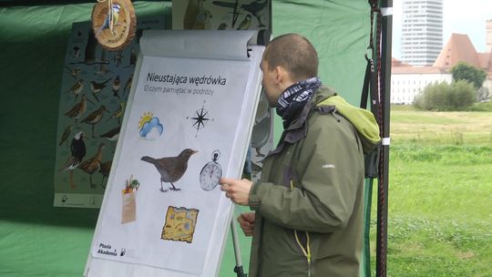 Spotkaj się z przyrodą dzięki Fundacji Dziupla Inicjatyw Przyrodniczych