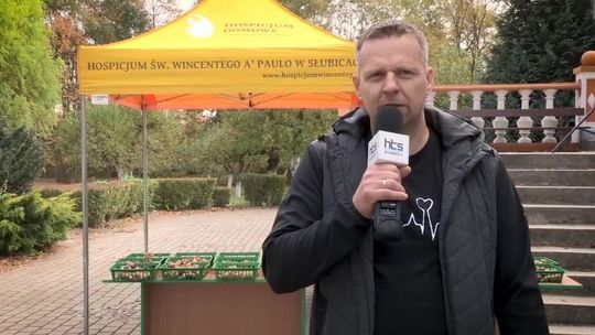Szósta edycja akcji Pola Nadziei za nami!