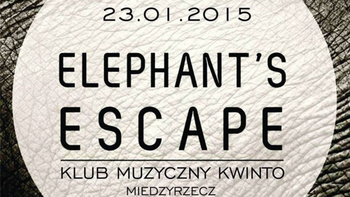 Elephant’s Escape w Międzyrzeczu