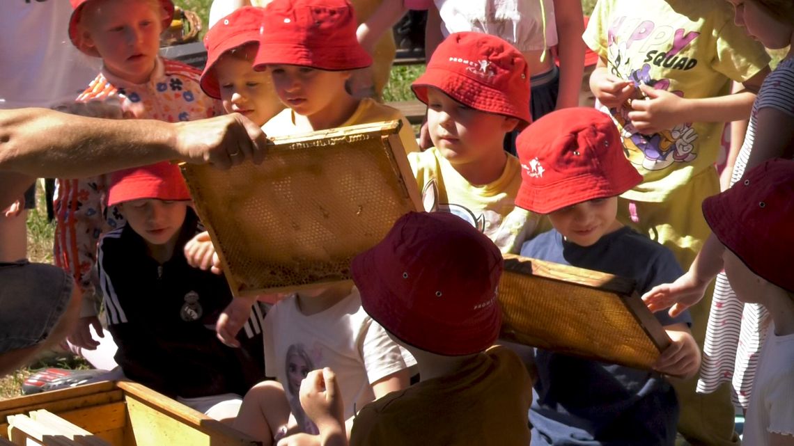 Międzynarodowy Dzień Pszczoły w Promet Kids w Kunowicach