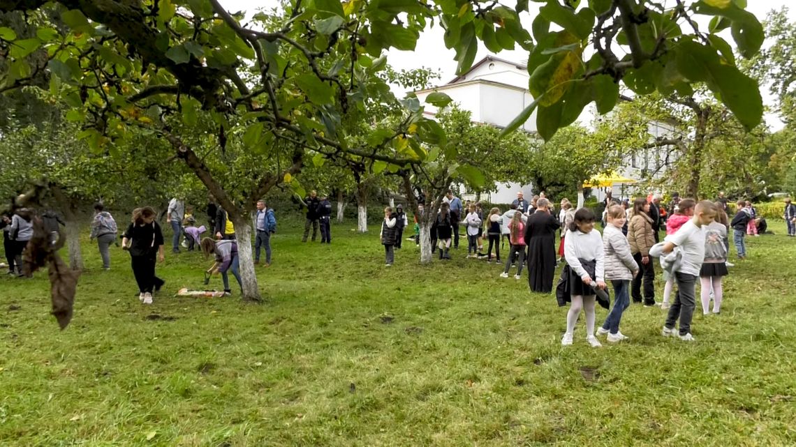 Po raz kolejny w Słubicach zakwitną "Pola Nadziei"