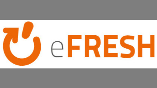 Agencja Interaktywna eFresh - projektowanie i tworzenie stron www