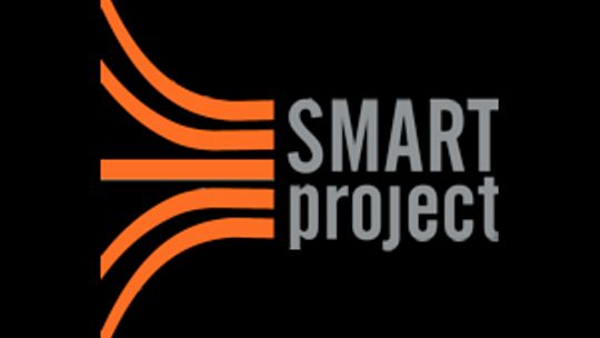 Optymalizacja procesów biznesowych - SMART Project