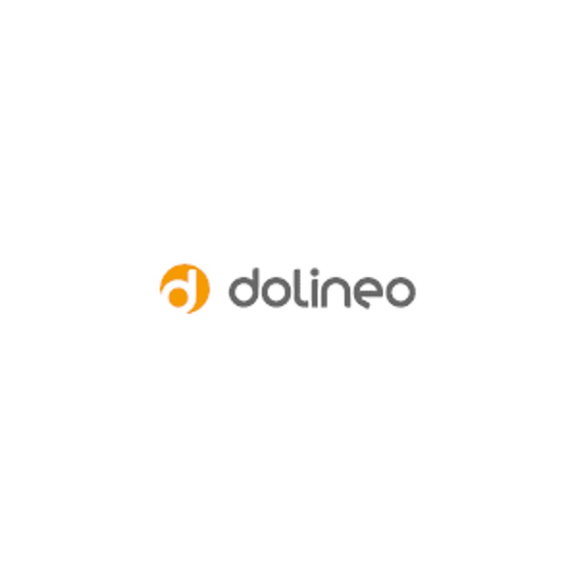 Profesjonalne kursy dla firm - Dolineo
